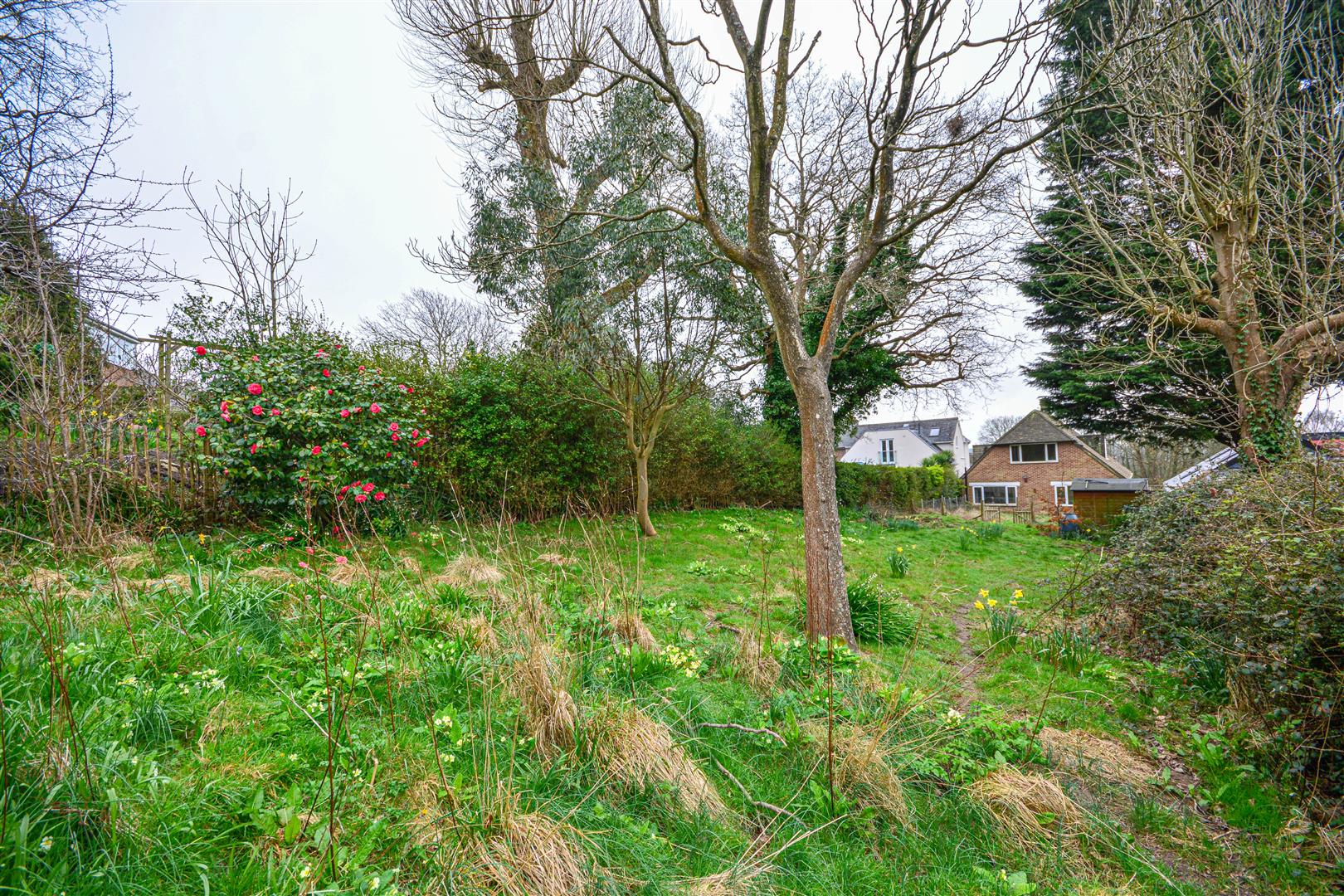 Ochiltree Road, Hastings Rush, Witt & Wilson